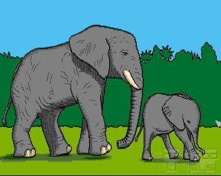 elefanten09.png